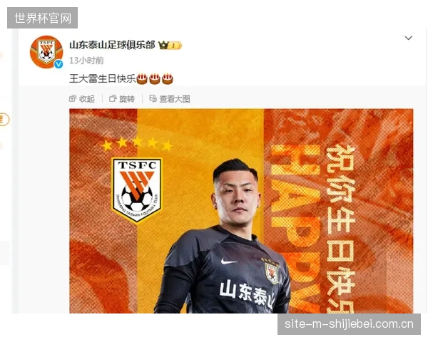 新援泽卡贡献4球表现尚可，仍在寻求与泰山进攻体系的最佳融合点。